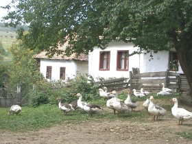 un concediu special in transilvania